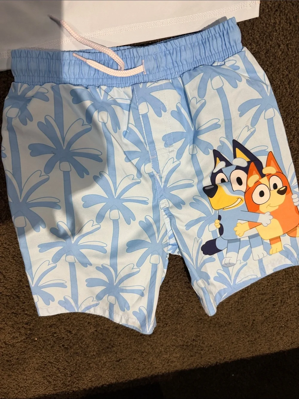 Bluey 'Let's Explore' Light Blue Kids Pajama Set Sz 5T